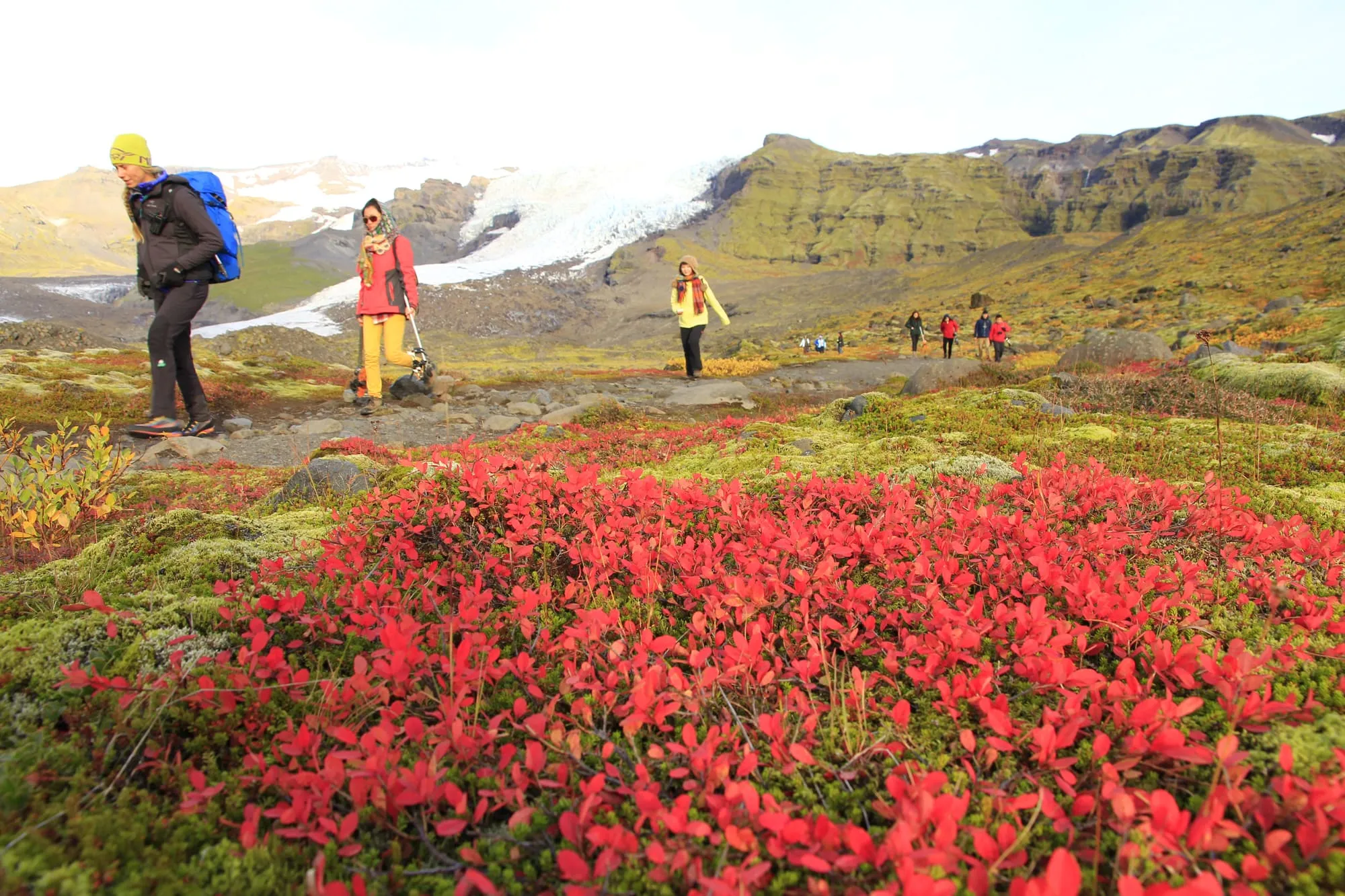 Iceland Day Tour