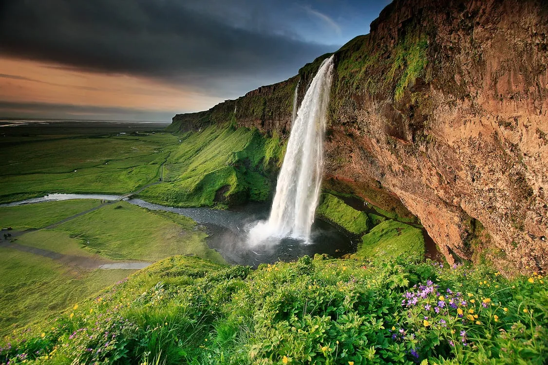 น้ำตก Seljalandsfoss ไหลลงจากหน้าผาสูง มีทุ่งดอกไม้ป่าอยู่เบื้องหน้า